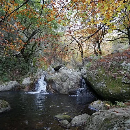 Les Volets Bleus Prémian