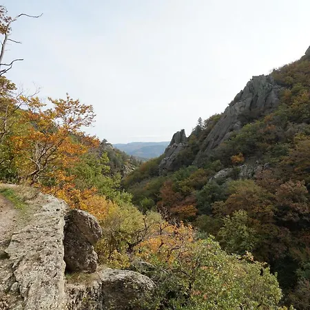 Les Volets Bleus 펜션