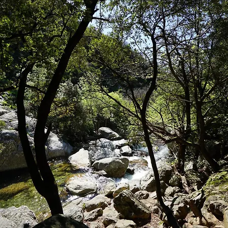Les Volets Bleus Feriehus Prémian